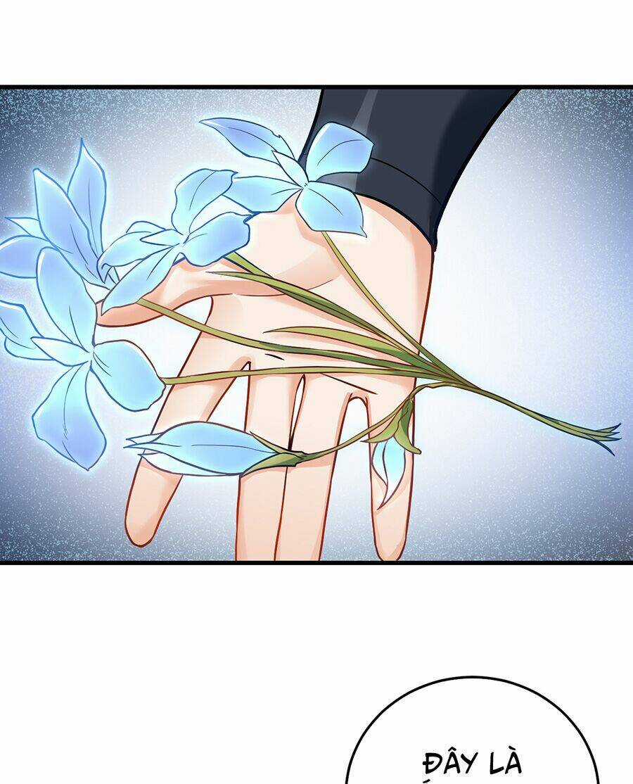 Mang Theo Các Tiên Tử Vô Địch Thiên Hạ Chapter 8 trang 60