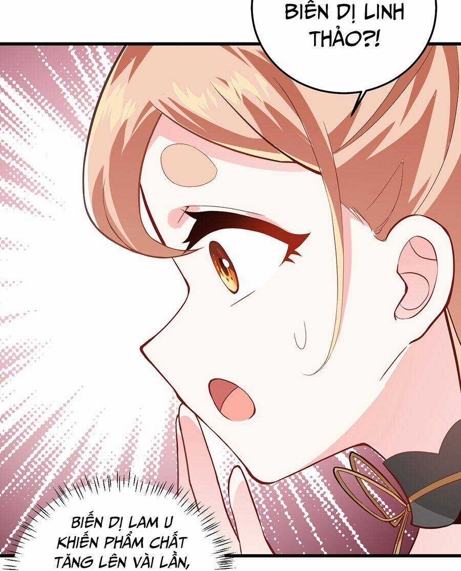 Mang Theo Các Tiên Tử Vô Địch Thiên Hạ Chapter 8 trang 61