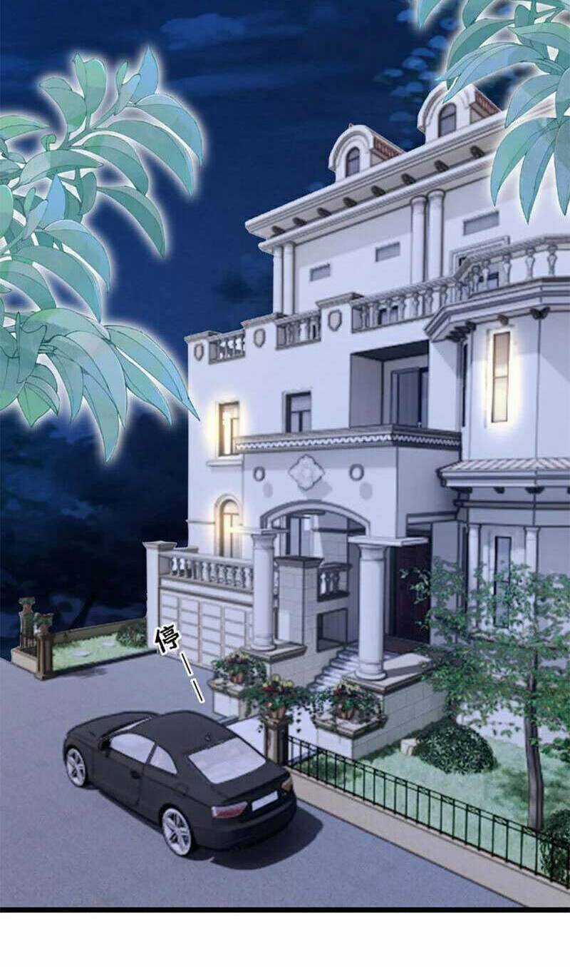 Manh Bảo Của Tôi Là Liêu Cơ Chapter 209 trang 29