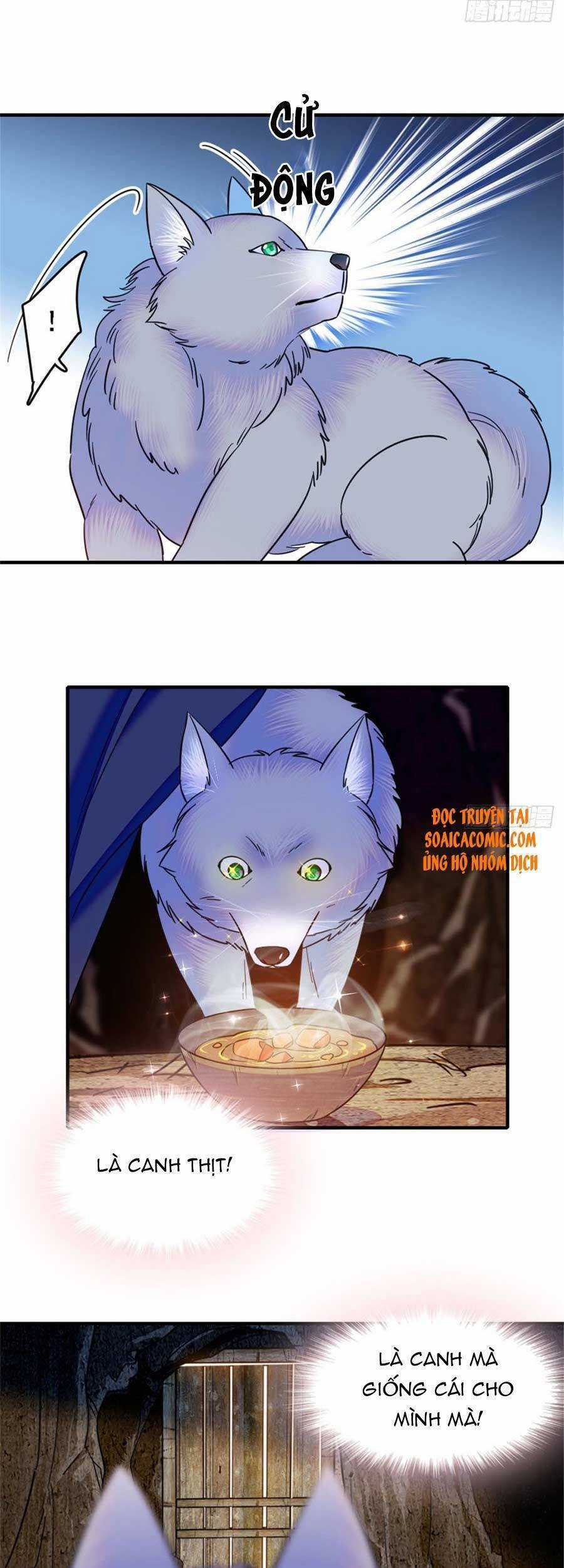 Manh Động Thú Thế Chương 25 trang 13