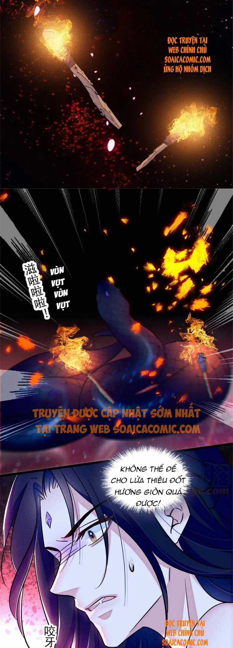 Manh Động Thú Thế Chương 50 trang 25