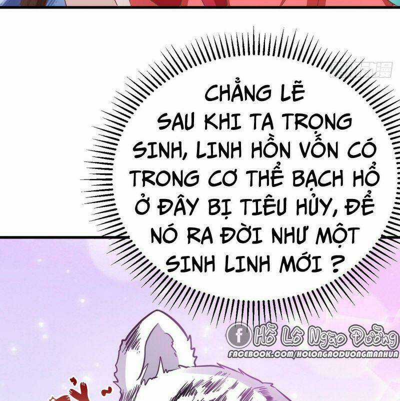 Manh Hổ Trọng Sinh : Tướng Quân Đại Nhân Muốn Ôm Ôm Chapter 12 trang 11