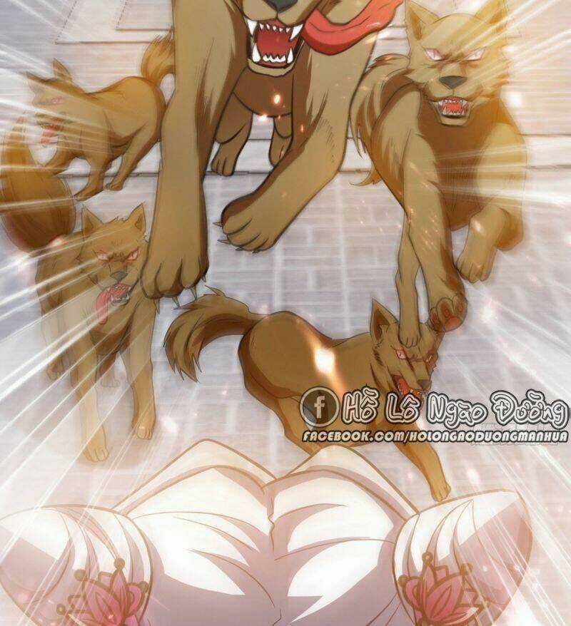 Manh Hổ Trọng Sinh : Tướng Quân Đại Nhân Muốn Ôm Ôm Chapter 22 trang 9