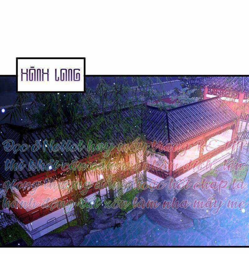 Manh Hổ Trọng Sinh : Tướng Quân Đại Nhân Muốn Ôm Ôm Chapter 5 trang 35