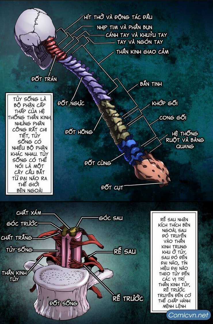 Mạnh Nhất Lịch Sử Chapter 43 trang 1