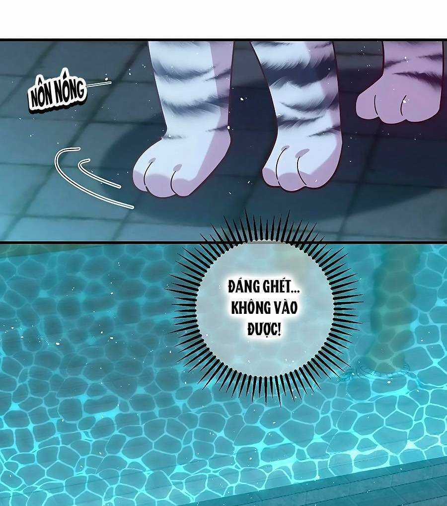 Manh Sư Tại Thượng Chapter 440 trang 1
