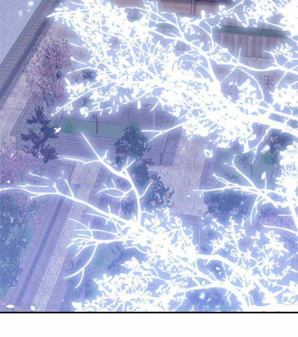 Manh Thê Bé Bỏng Không Dễ Chọc Chapter 18 trang 10