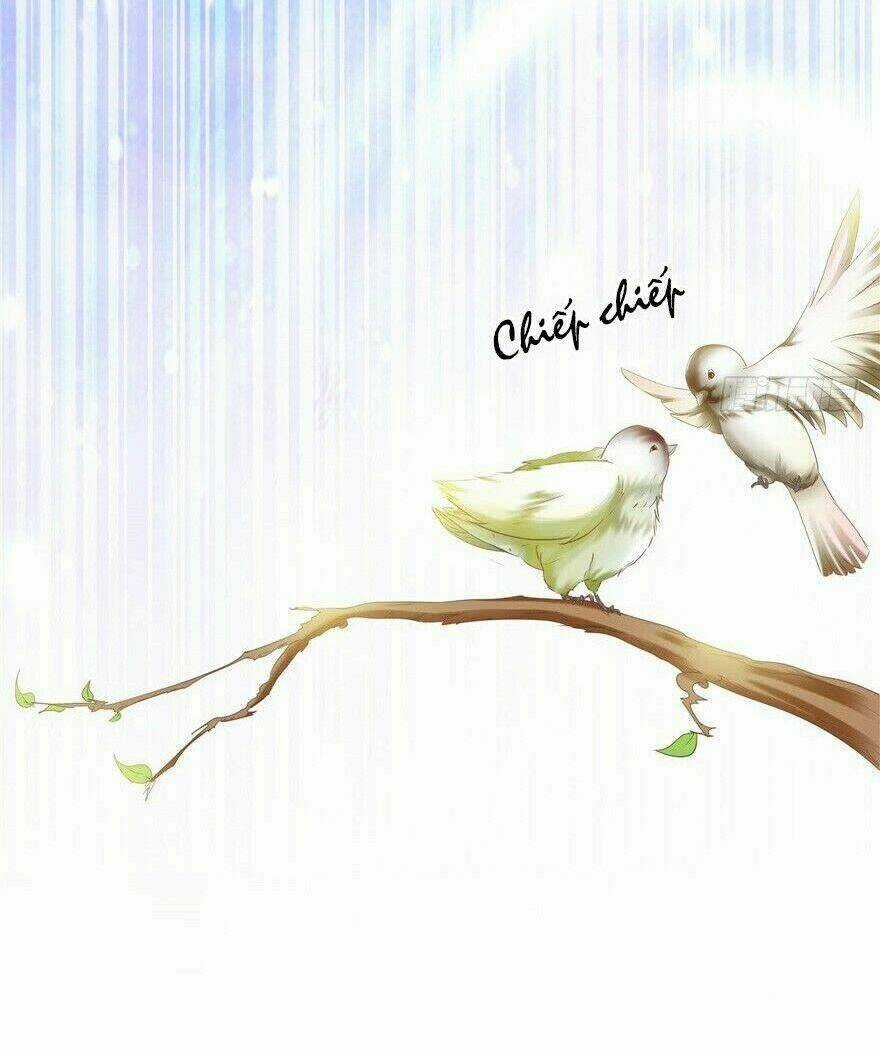 Manh Thê Thực Thần Chapter 13 trang 13