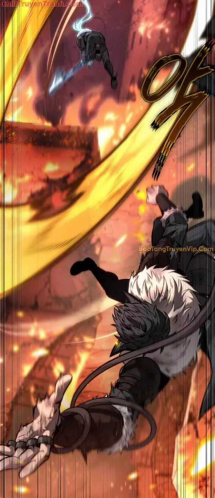 Mạo Hiểm Giả Cuối Cùng Chapter 63 trang 11