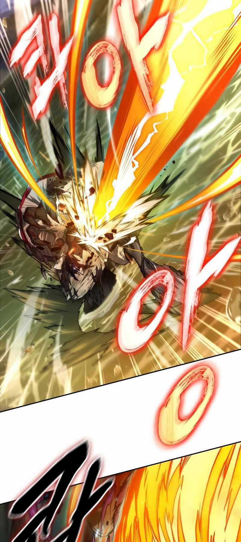 Mạo Hiểm Giả Cuối Cùng Chương 11 trang 13