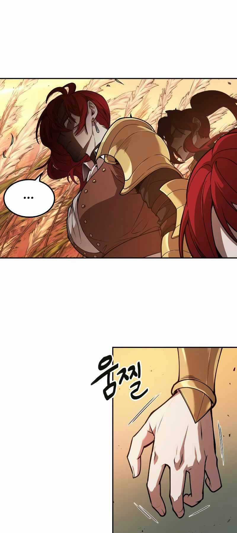 Mạo Hiểm Giả Cuối Cùng Chương 13 trang 48