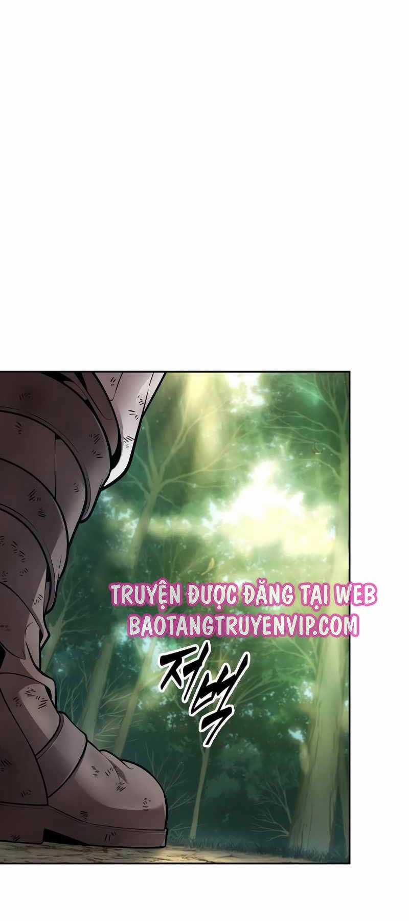 Mạo Hiểm Giả Cuối Cùng Chương 16 trang 11