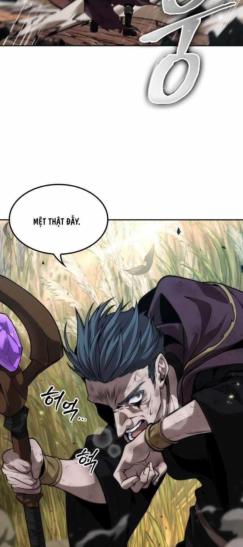 Mạo Hiểm Giả Cuối Cùng Chương 16 trang 2