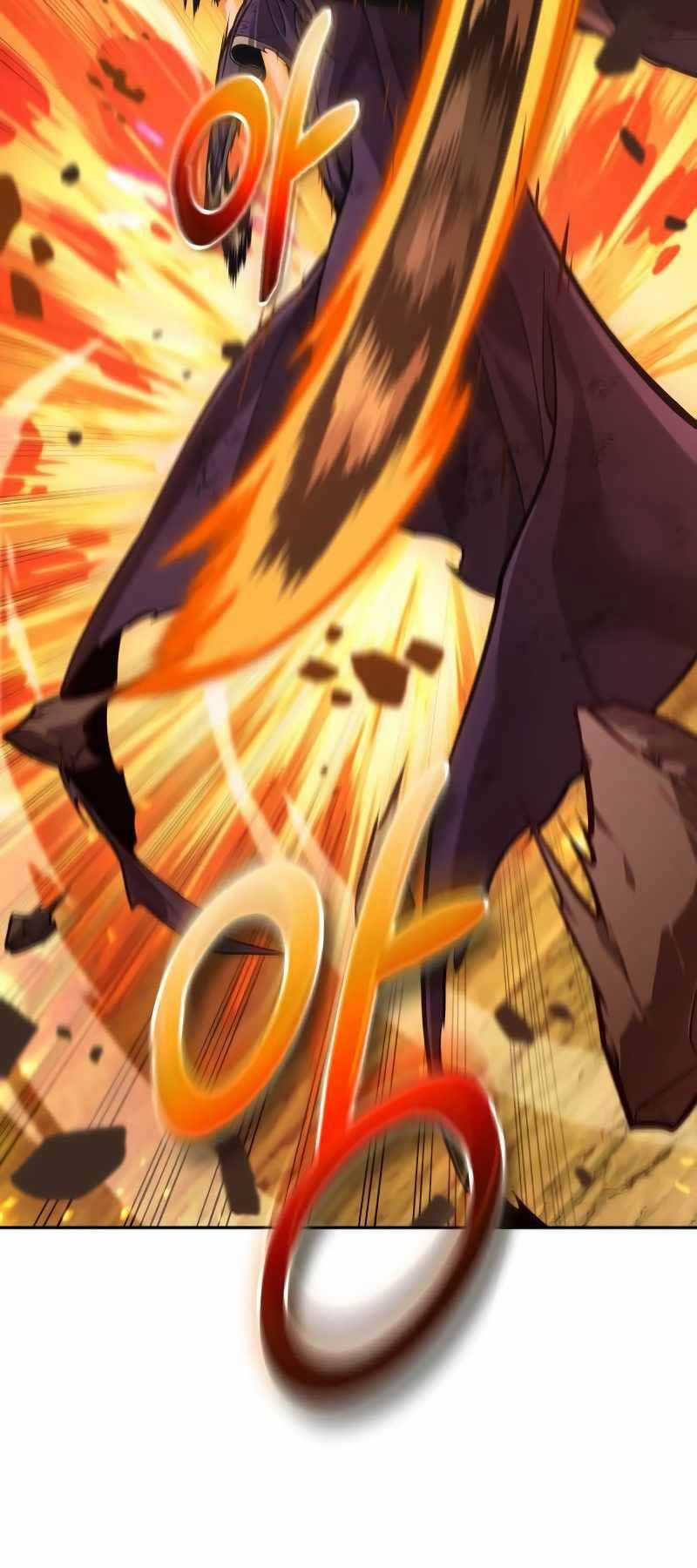 Mạo Hiểm Giả Cuối Cùng Chương 17 trang 13