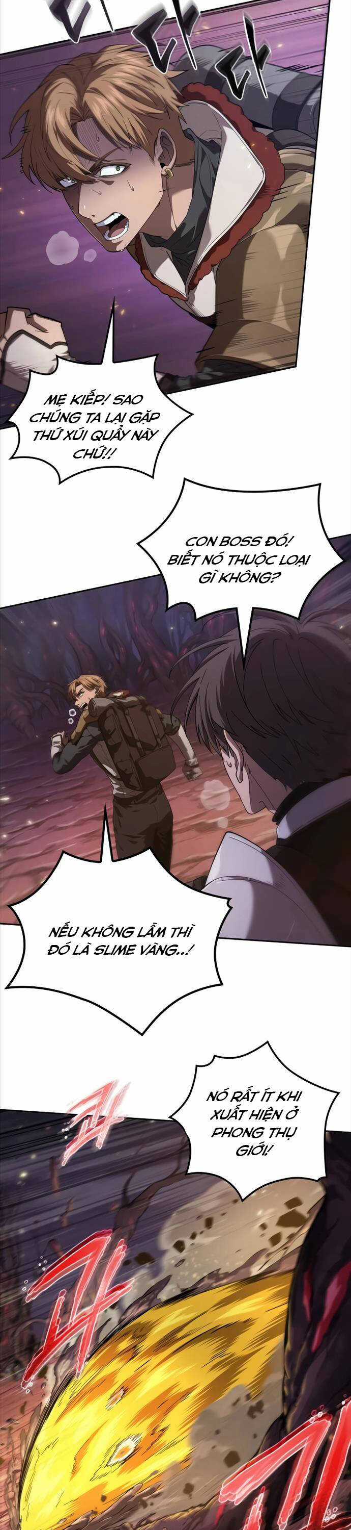 Mạo Hiểm Giả Cuối Cùng Chương 3 trang 12