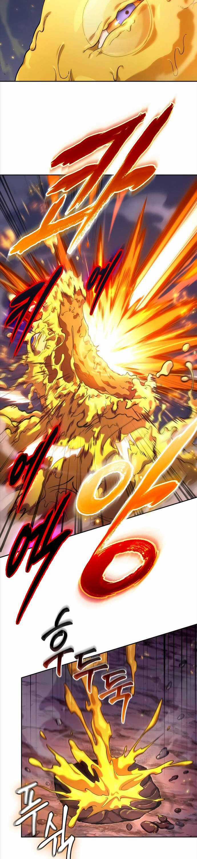 Mạo Hiểm Giả Cuối Cùng Chương 3 trang 27