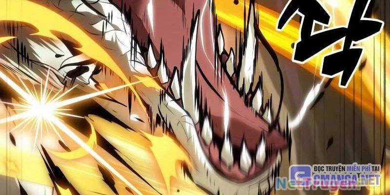 Mạo Hiểm Giả Cuối Cùng Chương 36 trang 39