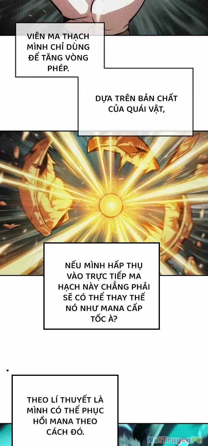 Mạo Hiểm Giả Cuối Cùng Chương 40 trang 7