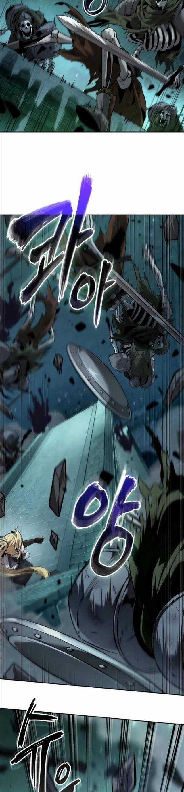 Mạo Hiểm Giả Cuối Cùng Chương 44 trang 12