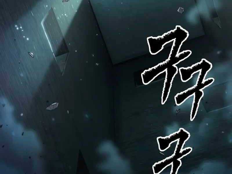 Mạo Hiểm Giả Cuối Cùng Chương 46 trang 168