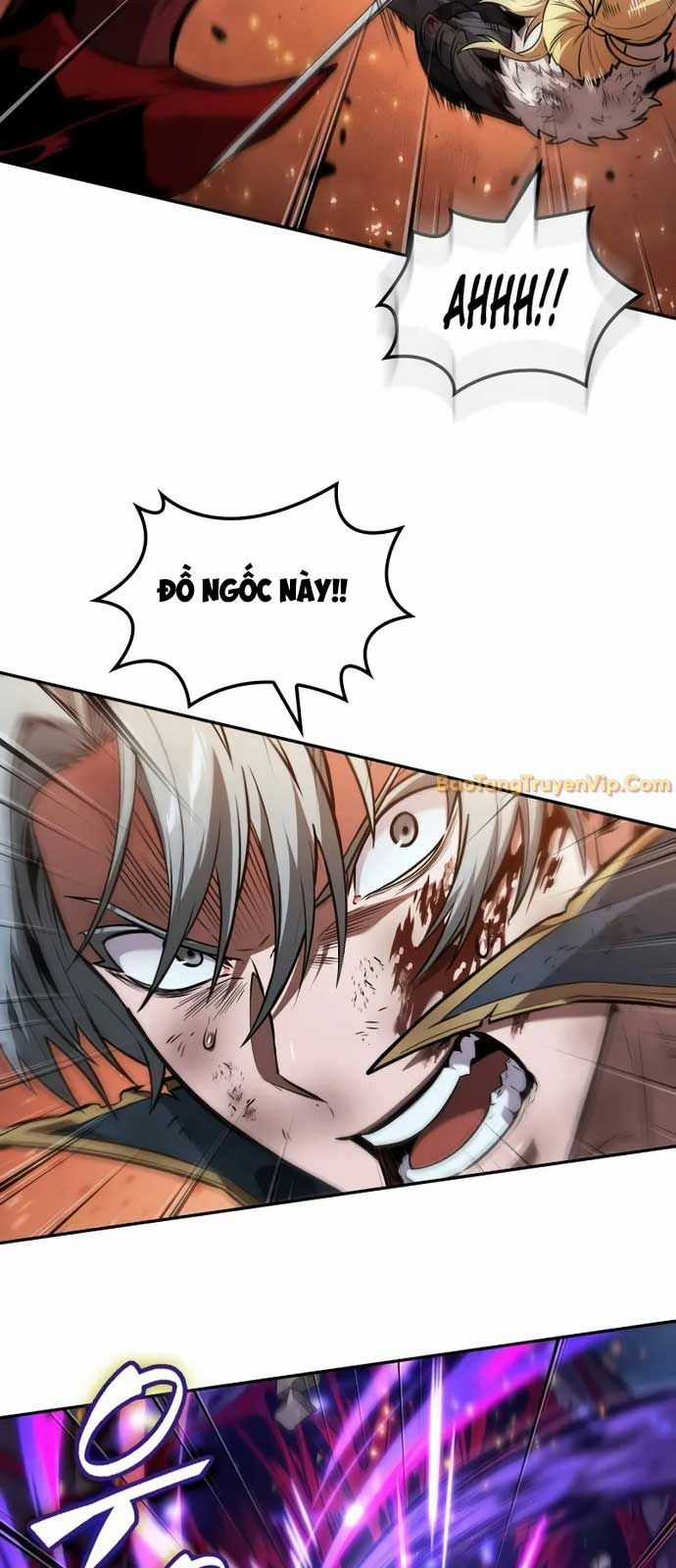 Mạo Hiểm Giả Cuối Cùng Chương 70 trang 61