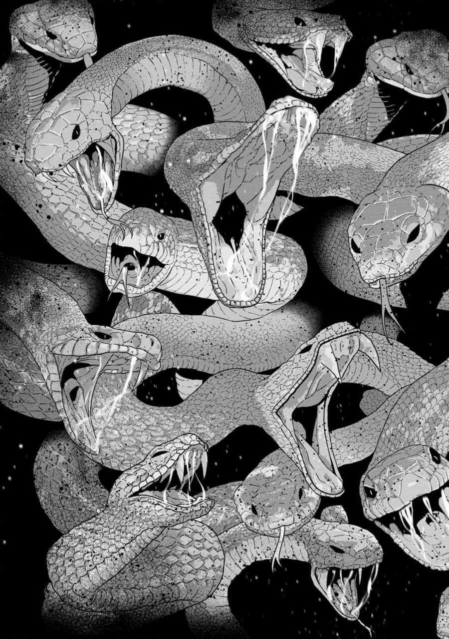 Maou Gun Saikyou No Majutsushi Wa Ningen Datta Chapter 21 trang 22