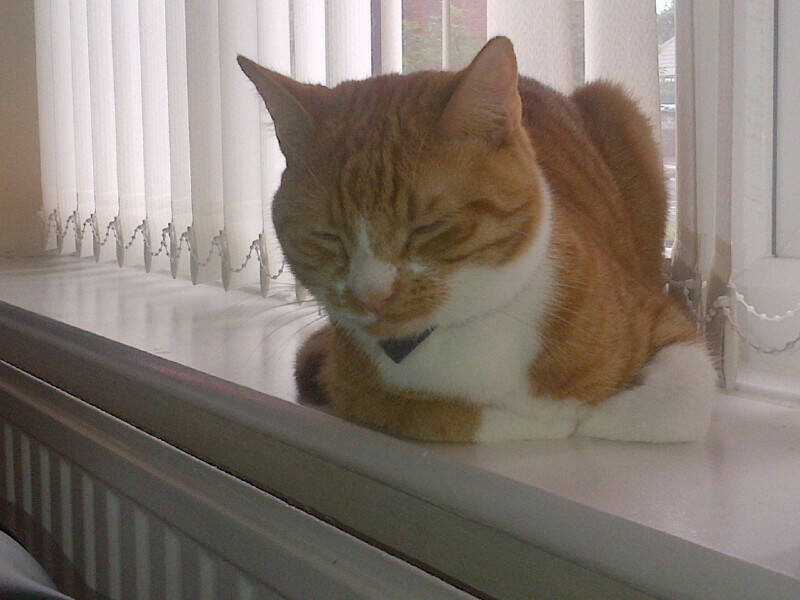 Märchen: The Embodiment Of Tales Chapter 91 trang 2