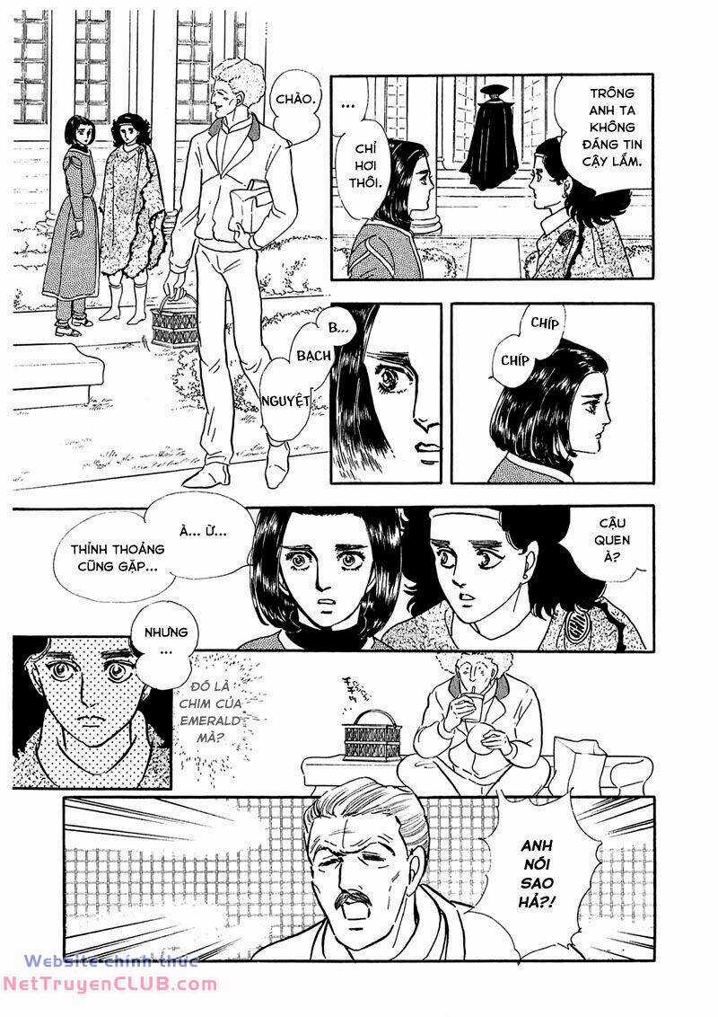 Marginal Chapter 8 trang 15