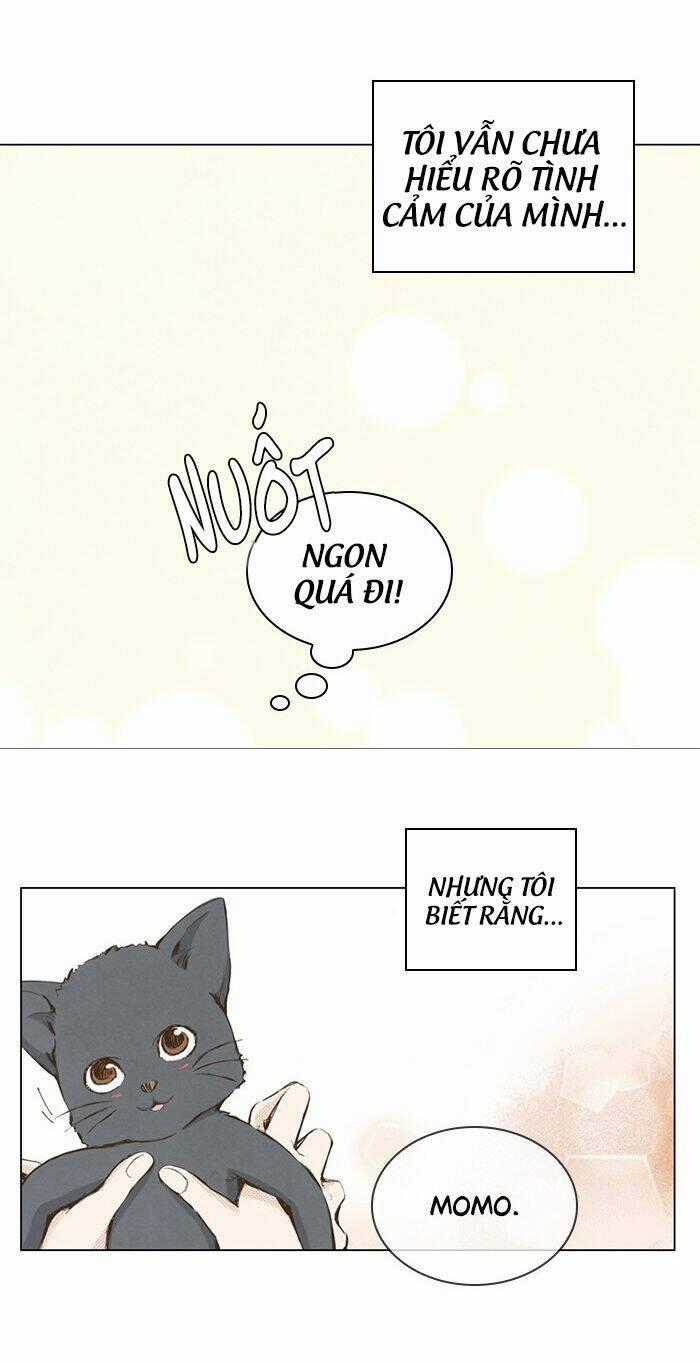 MARRY ME! Chapter 15 trang 33