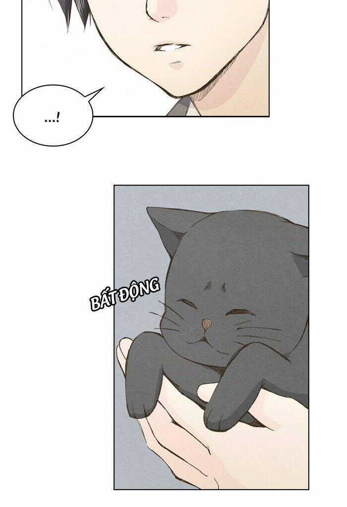 MARRY ME! Chapter 2 trang 27