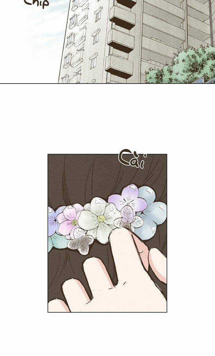 MARRY ME! Chapter 48 trang 16