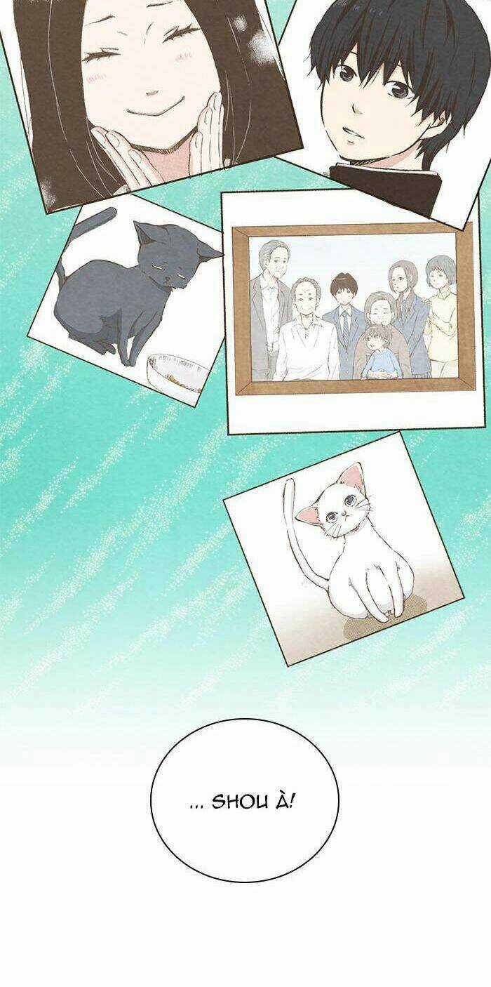 MARRY ME! Chapter 67 trang 25