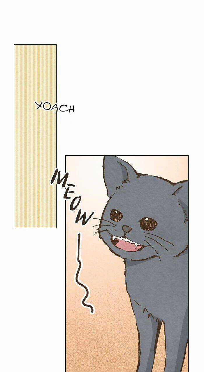 MARRY ME! Chapter 73 trang 28