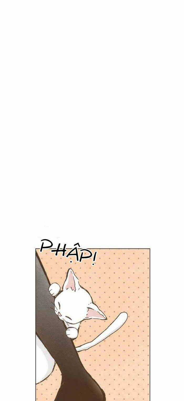 MARRY ME! Chapter 74 trang 4