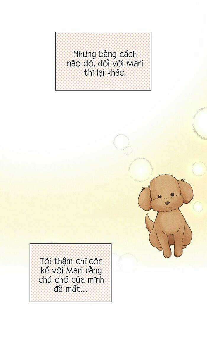 MARRY ME! Chapter 76 trang 5