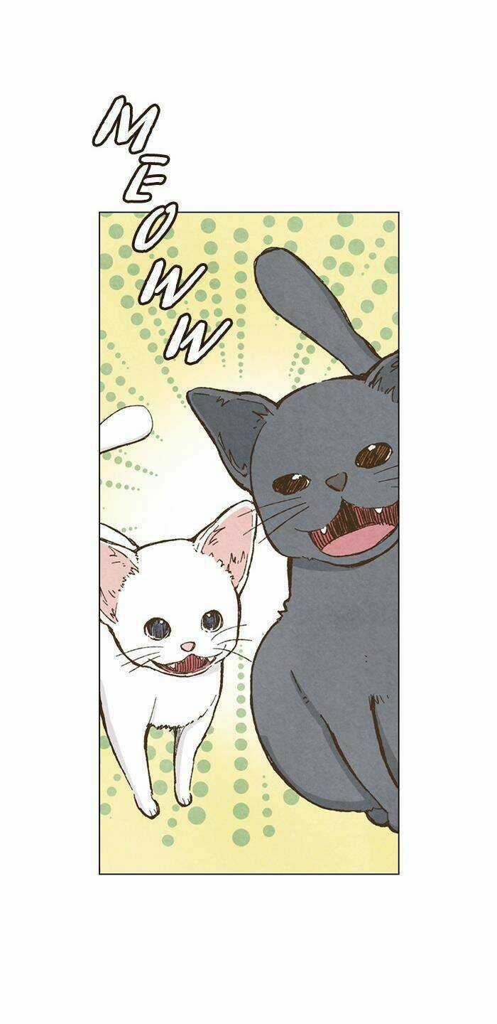 MARRY ME! Chapter 79 trang 39