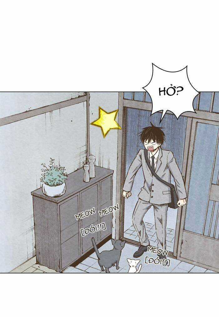 MARRY ME! Chapter 79 trang 40