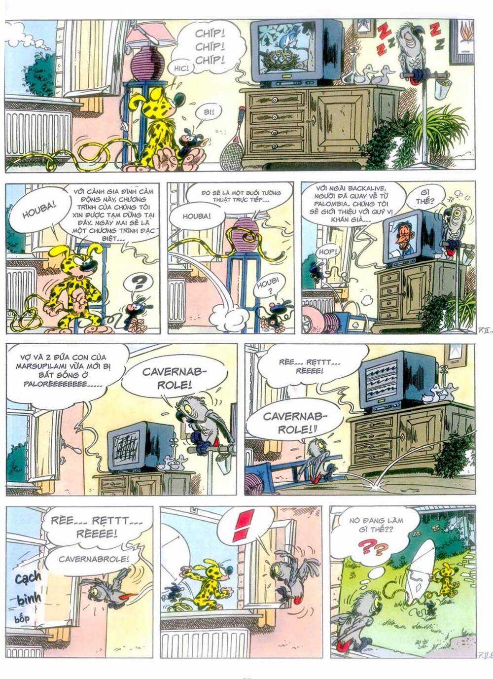 Marsupilami Chapter 10 trang 35