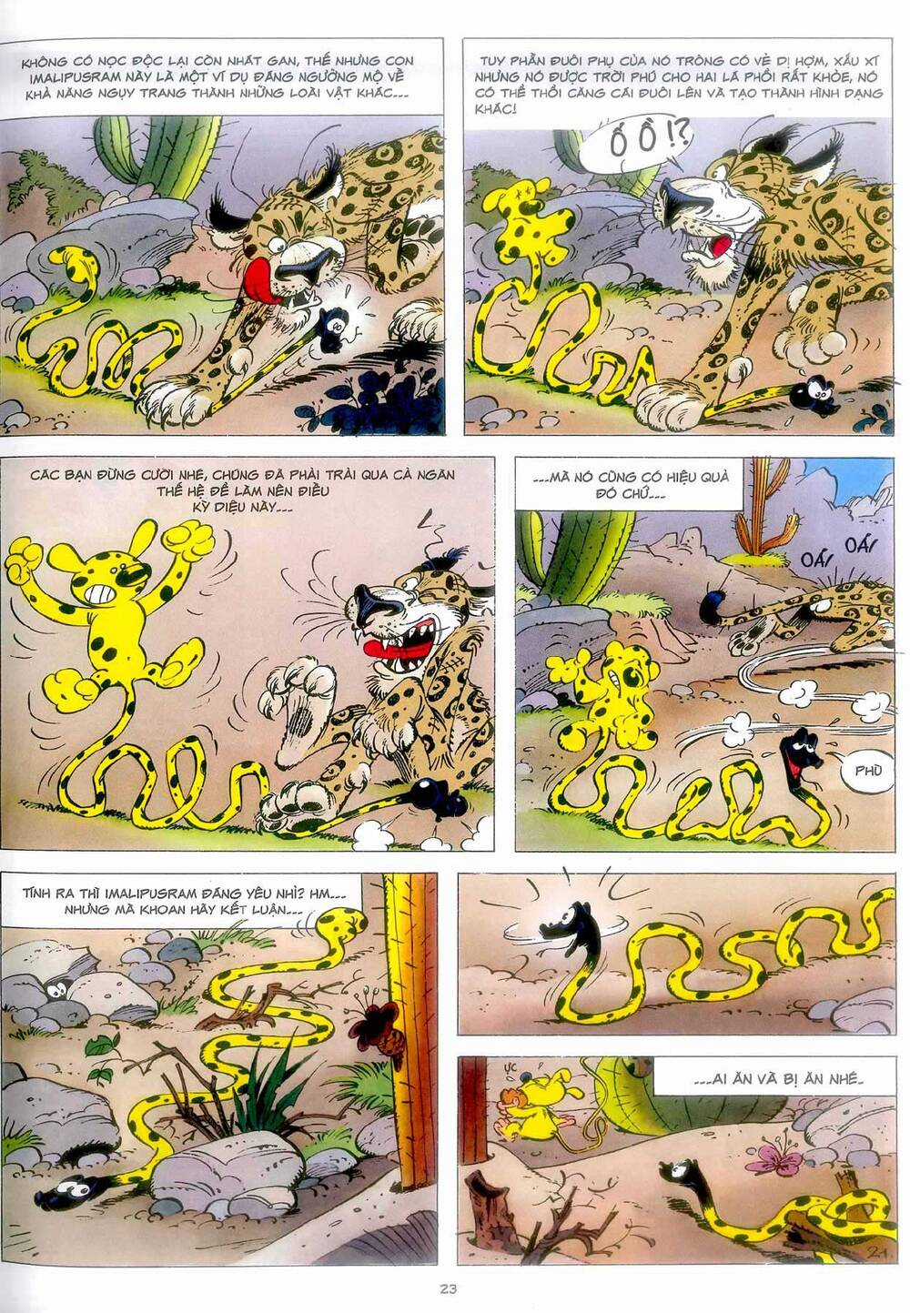 Marsupilami Chapter 4 trang 21