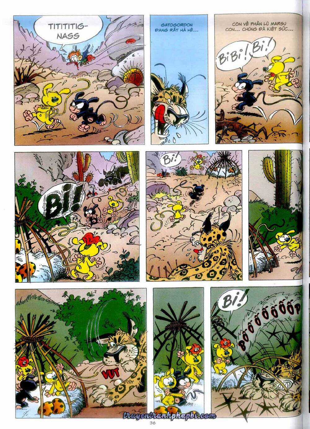 Marsupilami Chapter 4 trang 34