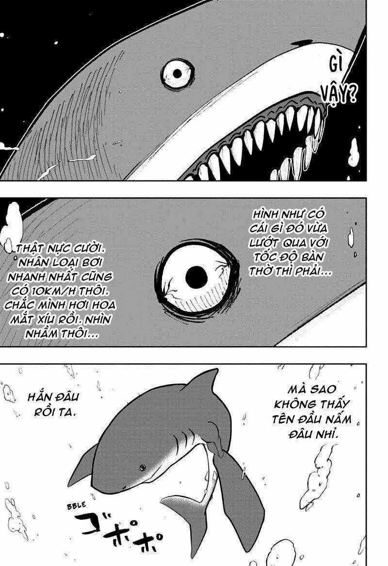 Mashle: Muscles And Magic Chapter 20 trang 5