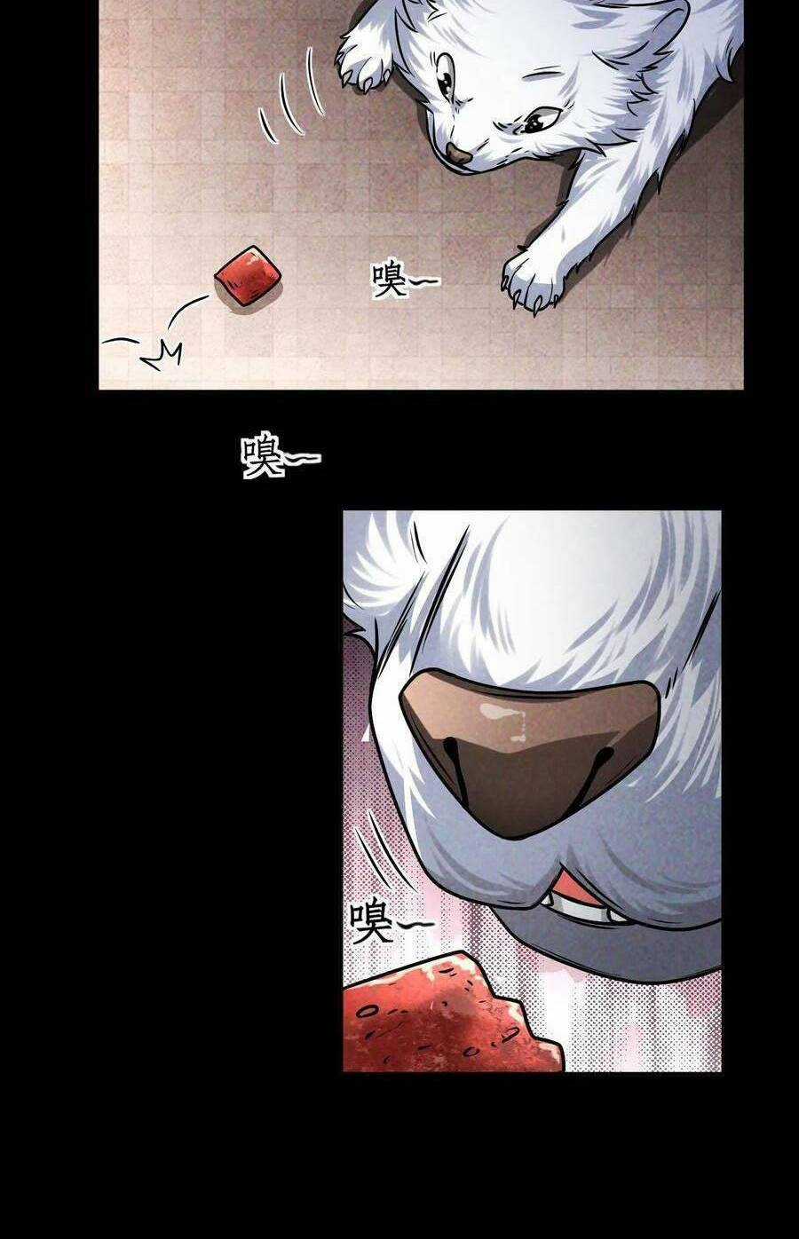 Mạt Thế Cầu Sinh: Tôi Có Thể Nhìn Thấy Gợi Ý Ẩn Dấu Chapter 19 trang 15