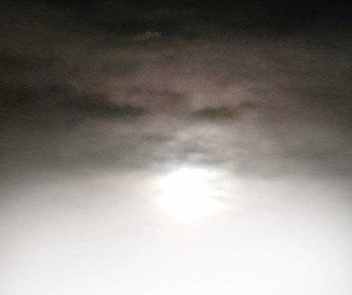 Mạt Thế Giang Hồ Hành Chapter 34 trang 12