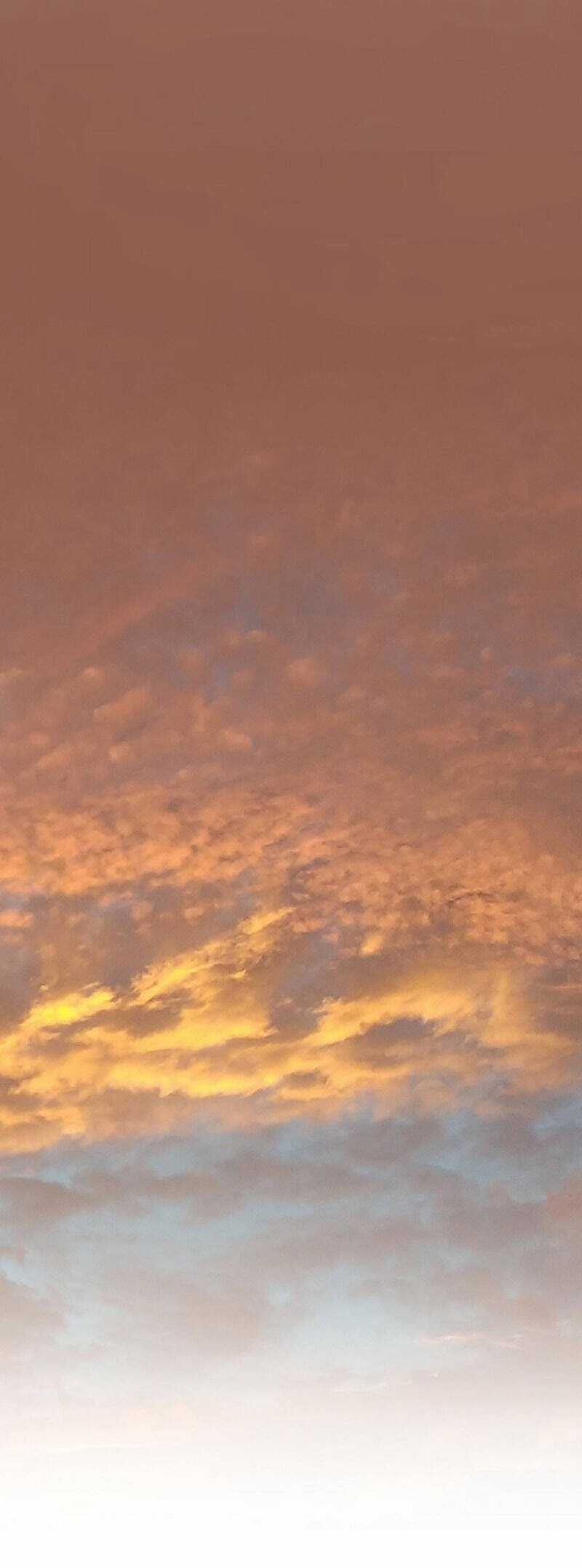 Mạt Thế Giang Hồ Hành Chapter 36 trang 63