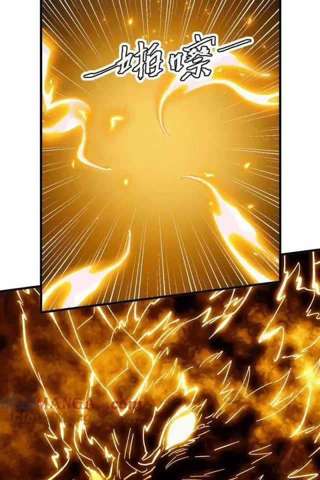 Mạt Thế Quật Khởi Chapter 290 trang 25