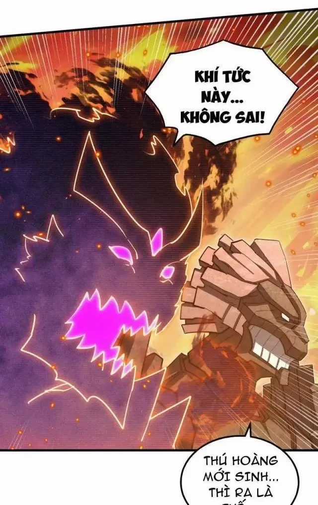 Mạt Thế Quật Khởi Chapter 295 trang 12