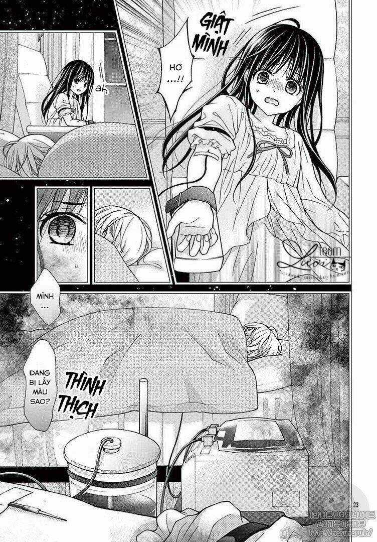 Máu Của Cậu Chỉ Thuộc Về Mình Tớ... Chapter 33 trang 24