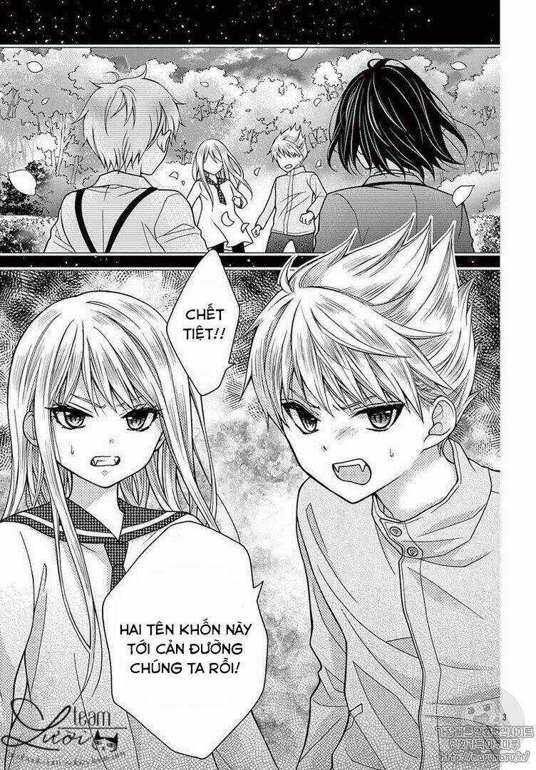 Máu Của Cậu Chỉ Thuộc Về Mình Tớ... Chapter 33 trang 4