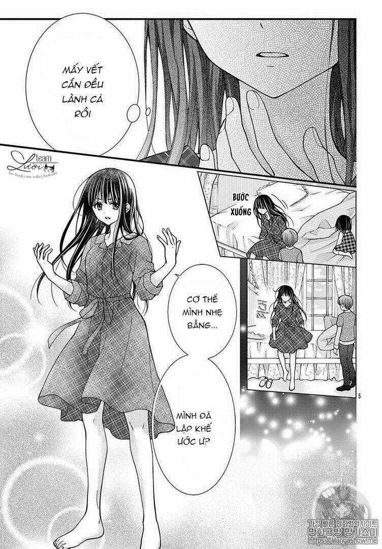 Máu Của Cậu Chỉ Thuộc Về Mình Tớ... Chapter 45 trang 6