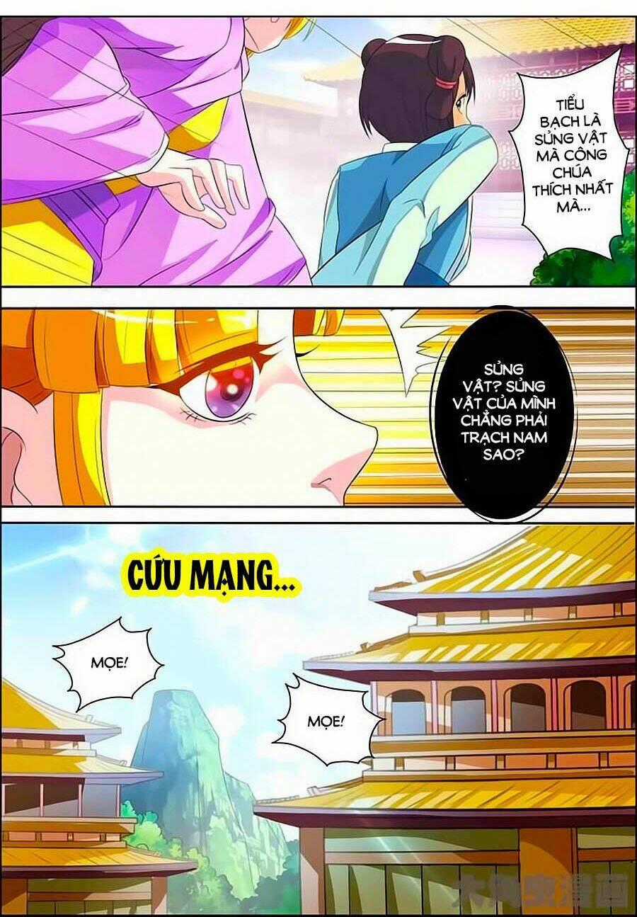 Mau Lấy Con Mèo Đó Ra Chapter 12 trang 0
